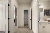 100 Jacobs Farm Lane - Photo 59