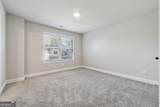 465 Brown Dove Lane - Photo 28