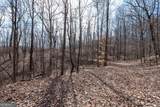 86.99 Acres Mincie Mountain - Photo 1