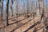 86.99 Acres Mincie Mountain - Photo 11