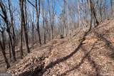 86.99 Acres Mincie Mountain - Photo 12
