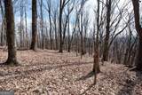 86.99 Acres Mincie Mountain - Photo 13
