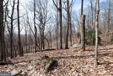 86.99 Acres Mincie Mountain - Photo 14
