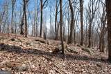 86.99 Acres Mincie Mountain - Photo 15