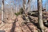 86.99 Acres Mincie Mountain - Photo 16