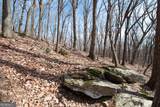 86.99 Acres Mincie Mountain - Photo 17