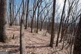 86.99 Acres Mincie Mountain - Photo 18