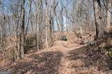 86.99 Acres Mincie Mountain - Photo 20