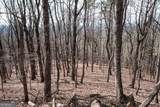 86.99 Acres Mincie Mountain - Photo 21