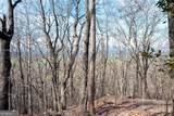 86.99 Acres Mincie Mountain - Photo 22