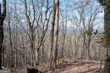 86.99 Acres Mincie Mountain - Photo 23