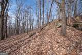 86.99 Acres Mincie Mountain - Photo 24