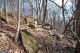 86.99 Acres Mincie Mountain - Photo 25