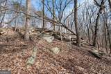 86.99 Acres Mincie Mountain - Photo 26