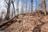 86.99 Acres Mincie Mountain - Photo 28