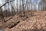 86.99 Acres Mincie Mountain - Photo 29