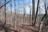 86.99 Acres Mincie Mountain - Photo 3