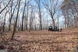 86.99 Acres Mincie Mountain - Photo 30