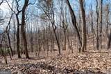 86.99 Acres Mincie Mountain - Photo 31