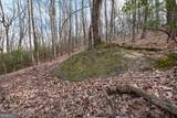 86.99 Acres Mincie Mountain - Photo 32