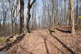 86.99 Acres Mincie Mountain - Photo 33