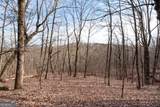 86.99 Acres Mincie Mountain - Photo 34