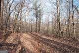 86.99 Acres Mincie Mountain - Photo 35