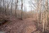 86.99 Acres Mincie Mountain - Photo 37