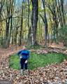 86.99 Acres Mincie Mountain - Photo 38