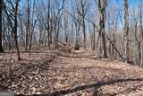 86.99 Acres Mincie Mountain - Photo 4