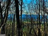 86.99 Acres Mincie Mountain - Photo 44