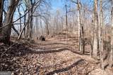86.99 Acres Mincie Mountain - Photo 6