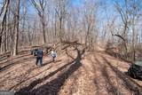 86.99 Acres Mincie Mountain - Photo 7