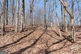 86.99 Acres Mincie Mountain - Photo 8