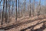 86.99 Acres Mincie Mountain - Photo 9