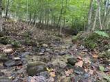 0 North Burgess Gap Road - Photo 30