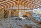 2623 Big Texas Valley Road - Photo 84