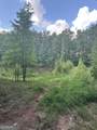 2470 Fears Road - Photo 47