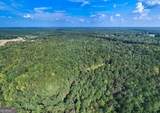 93.49 ACRES Forrest Road - Photo 11