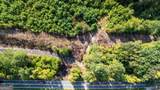 93.49 ACRES Forrest Road - Photo 14