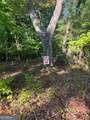 LT 32 Buck Creek Road - Photo 3