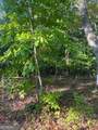 LT 32 Buck Creek Road - Photo 4