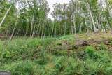 LOT 20 Buckhead Hills - Photo 13
