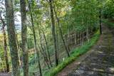 LOT 20 Buckhead Hills - Photo 21