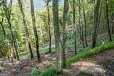 LOT 20 Buckhead Hills - Photo 22