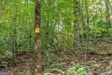 LOT 20 Buckhead Hills - Photo 7