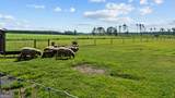485 Beaver Kreek Road - Photo 89
