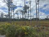 0 South Fork Road - Photo 15