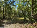 0 Burnt Leaf Lane - Photo 4
