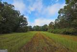23481 Us Hwy 19 (7.46 Acres) - Photo 16